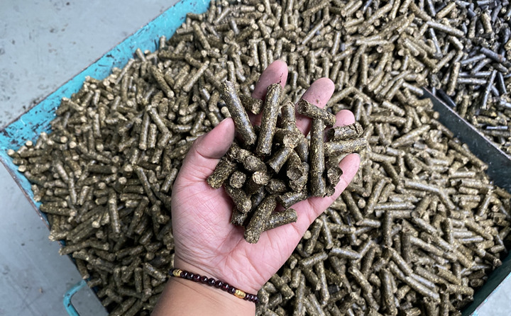 鋸末顆粒機(jī)的生物質(zhì)顆粒燃料